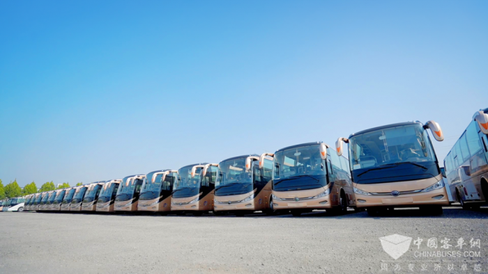 盤錦公交再添新動力 80輛宇通新能源客車批量交付